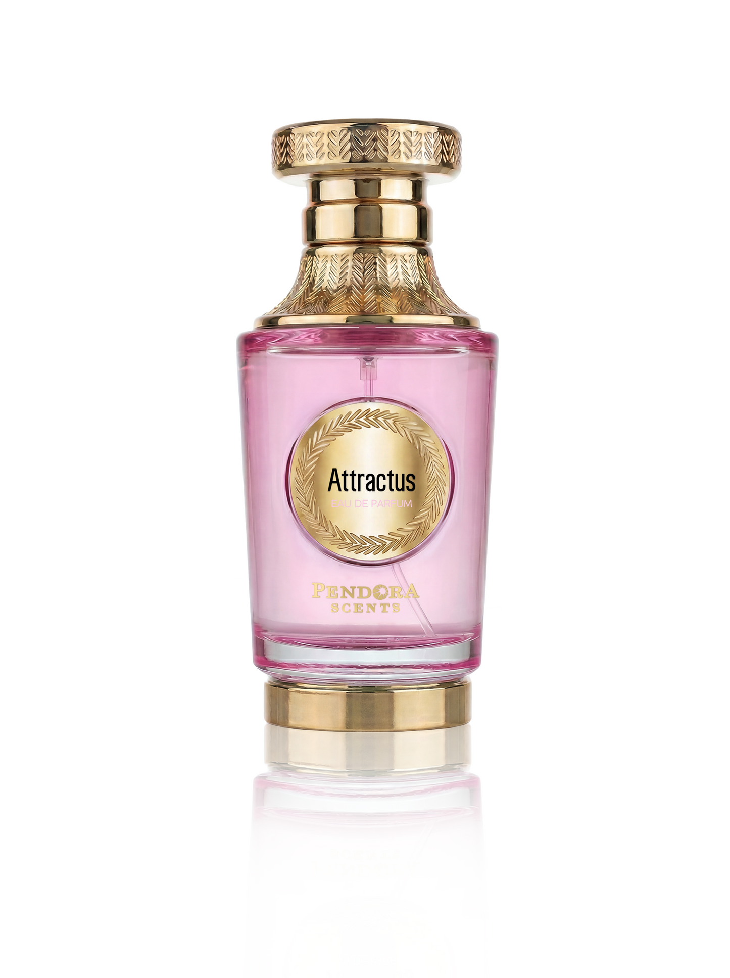 ATTRACTUS
