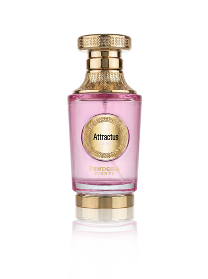 ATTRACTUS