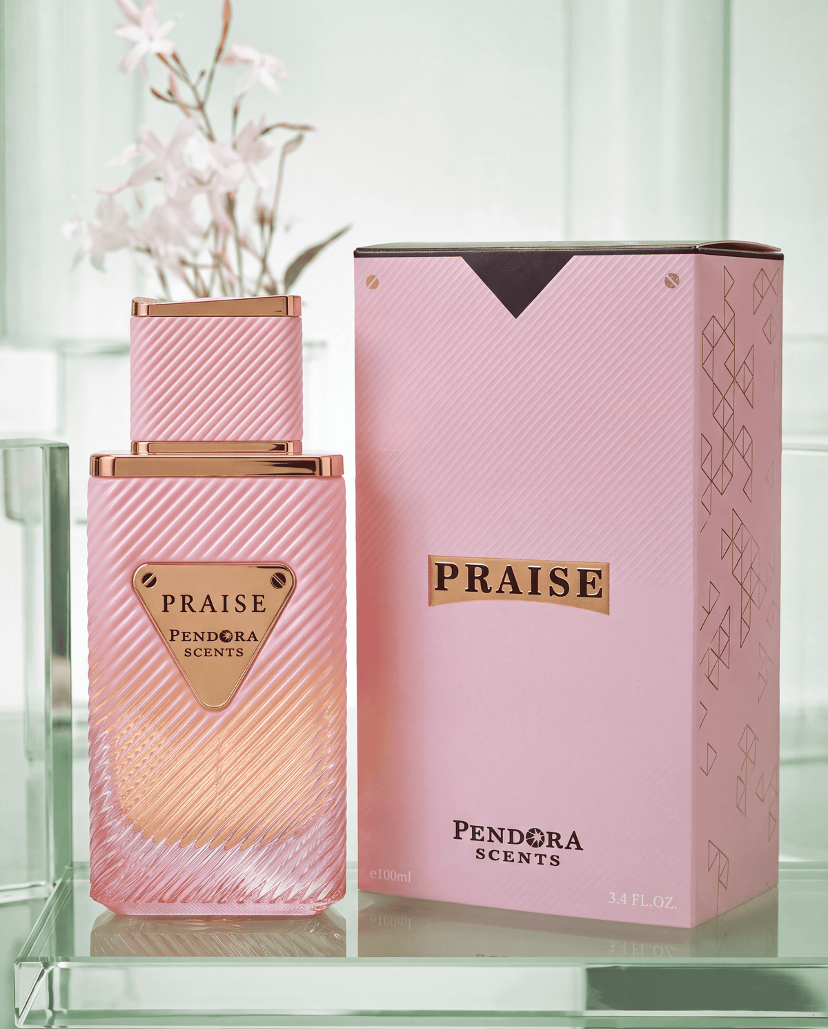 PRAISE