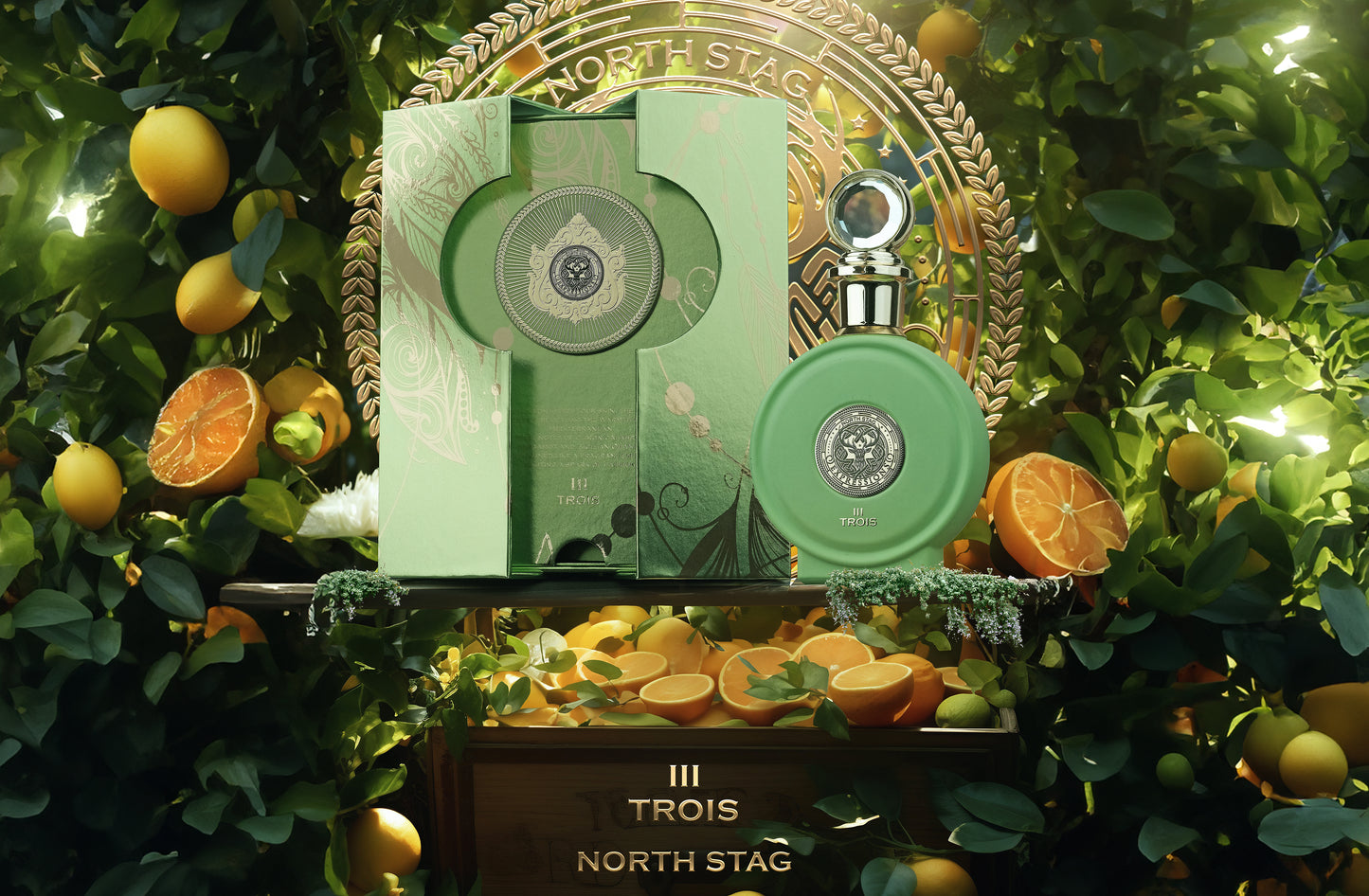 TROIS III EXPRESSIONS , NORTH STAG