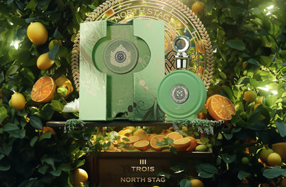 TROIS III EXPRESSIONS , NORTH STAG
