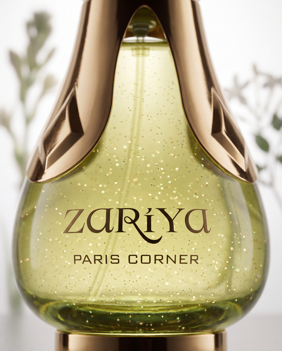 ZARIYA
