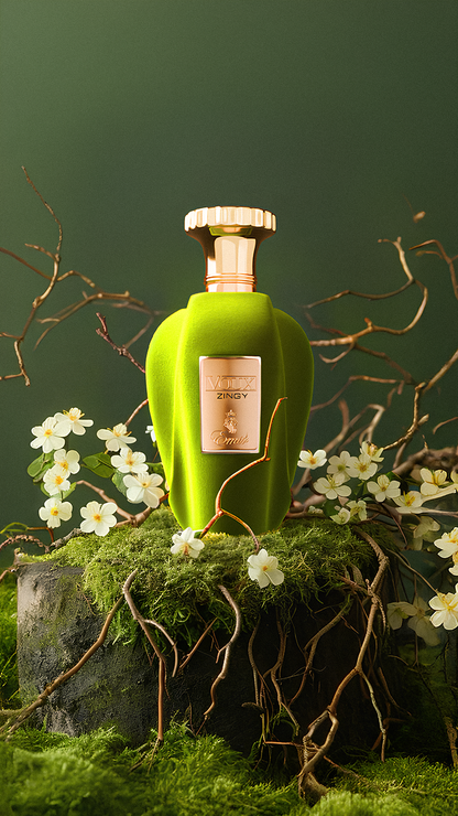 VOUX ZINGY – PARIS CORNER VOUX ZINGY – PARIS CORNER