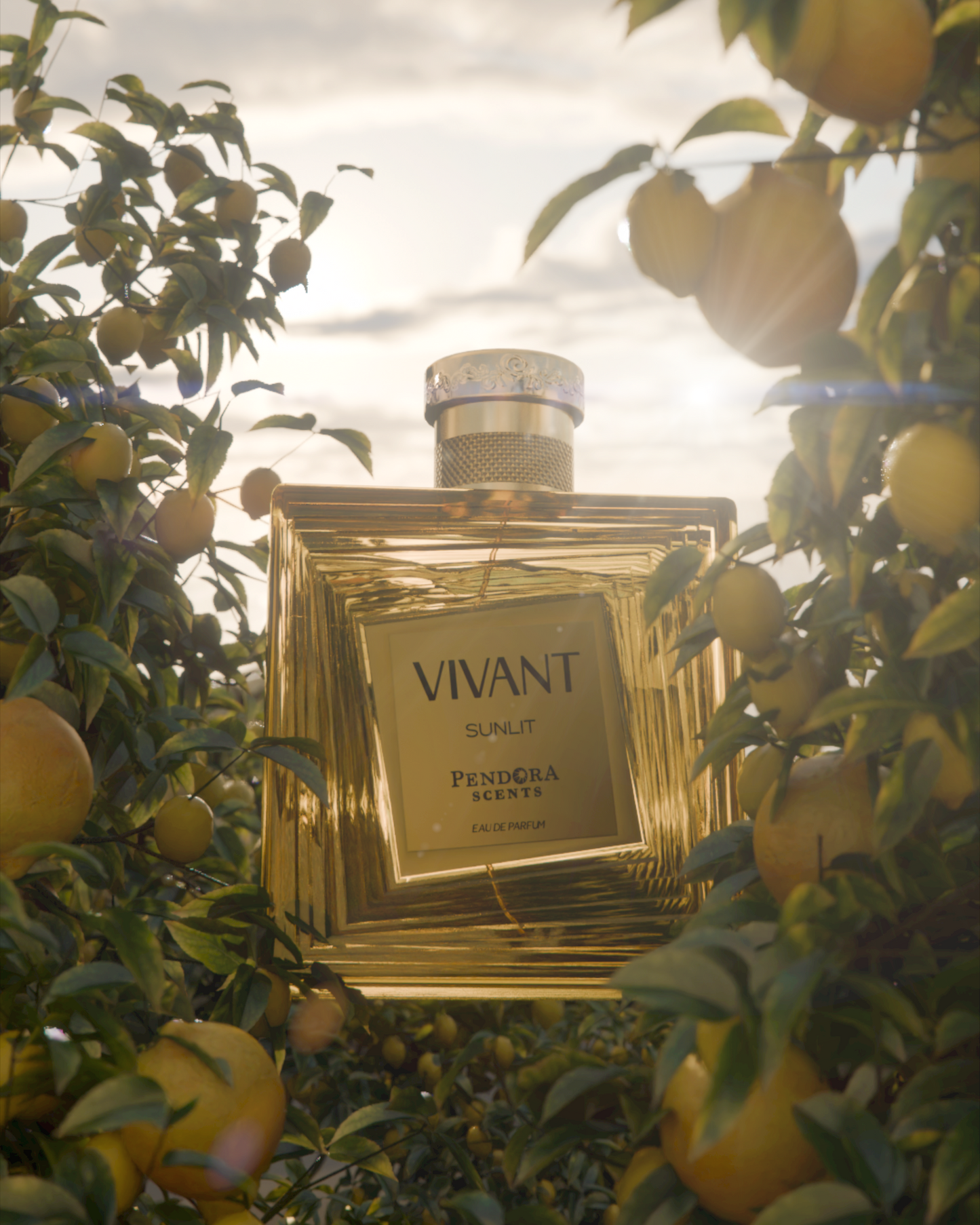 VIVANT SUNLIT